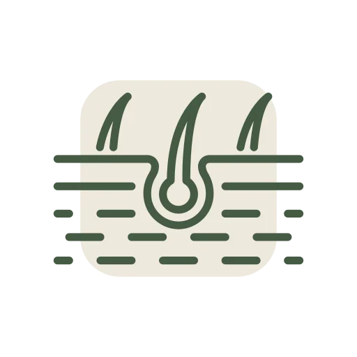 Alt Image